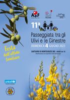 2023-06-04 apf passeggiata.jpeg